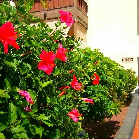 Balcon Del Mar, Sea View شقة *